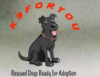 Photo for DelcieCullin / K94u Rescue