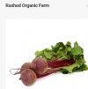 Photo for Rashed Organic Farm