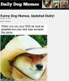 Photo for dailydogmemes