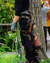 Photo for Barrett Tree Service of Wellesley