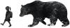 Photo for Gemini and the Bear Photography
