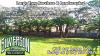 Photo for Silverson Tree Service & Landscaping