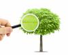 Photo for K & S Tree Care, Inc.