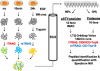 Photo for itraq proteomics