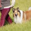 Photo for Pine Creek Kennel