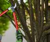 Photo for Landscaping Designers Contractors, Landscape Design Services and Tree Trimming - NC