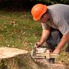 Photo for Lee's Tree Service, Tree Removal in Dallas, GA