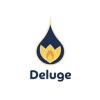 Photo for Deluge Digital Marketing