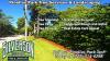 Photo for Silverson Tree Services & Landscaping - Pinellas Park