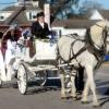 Photo for Danielle's Bridal Formals & Tuxedo Rentals