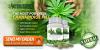 Photo for What is the benifits to having Vitalaze Stress Relief ?