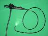 Photo for Gastroscopy Devices Market Forecasts up to 2024, Research Reports- Coherent Market Insights