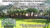 Photo for Silverson Tree Services & Landscaping - Saint Petersburg