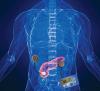 Photo for Artificial Pancreas Device System (APDS) Market to Surpass US$ 0.25 Billion by 2024: CMI