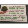 Photo for Tree Surgeon in Eastcote