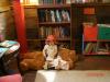 Photo for Gently Read Books for Sale