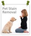 Photo for TX Kingwood Carpet Cleaning