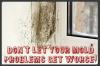 Photo for Mold Removal Miami LLC