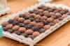Photo for Crissy’s Crafty Candies