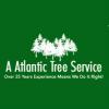 Photo for A Atlantic Tree Service