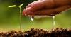 Photo for Agricultural Adjuvants Market: High Hopes for Greater Crop Yield Opens Doors for Advanced Agricultural Adjuvants, TMR