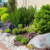 Photo for D&D Landscape & Sprinkler Services Inc.