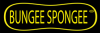 Photo for Bungee Spongee LTD