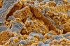 Photo for Specialty Zeolites Market: High Value Applications in Booming Construction and Plastics Industries, TMR