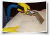 Photo for Carpet Cleaning Kingwood TX