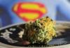 Photo for Buddy's Cannabis