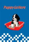 Photo for Puppy Pan