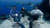Photo for Underwater Light Guys