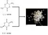 Photo for Polylactic Acid Market Analysis, Growth & Forecast 2020