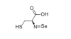 Photo for Selenocysteine