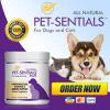 Photo for How it increase longevity in your pets ?