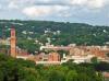 Photo for Waterbury Tree Service
