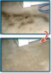 Photo for Carpet Cleaning Stafford TX