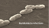 Photo for Burkholderia Infections Market - Global Industry Insights, Trends, Outlook, and Opportunity Analysis, 2016–2024