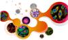 Photo for human primary cells