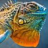Photo for Iguana Marine Yacht Repair
