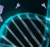 Photo for Bispecific Antibodies Market by Product type, Application, End user, Geography - Global Industry Insights, Trends, Outlook, and Opportunity Analysis, 2016-2024