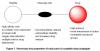 Photo for Peptide-drug conjugations