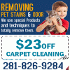 Photo for Carpet Cleaning Montgomery TX