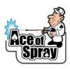 Photo for Ace of Spray
