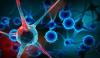 Photo for PD-1 and PDL-1 Inhibitors Market - Global Industry Insights, Trends and Opportunity Analysis, 2016–2024