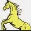 Photo for Adventure Horse Riding in NYS