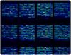 Photo for DNA and Gene Chip Microarrays Market Size, Share, Growth, Trends & Forecast 2022