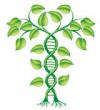 Photo for Europe Agrigenomics Market Report 2017