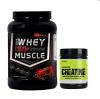 Photo for What Makes The Whey ISO Supplements So Worth Taking, in Our Diets?