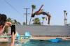 Photo for Diving Board Guys